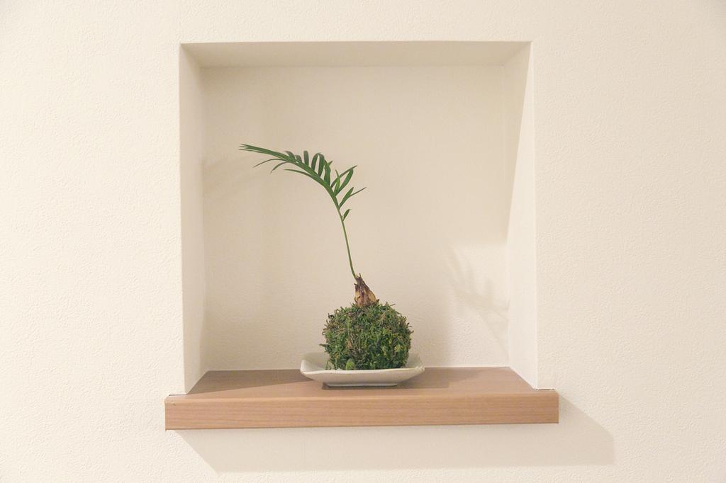 Ryokan Mokuzin 하쿠바 외부 사진
