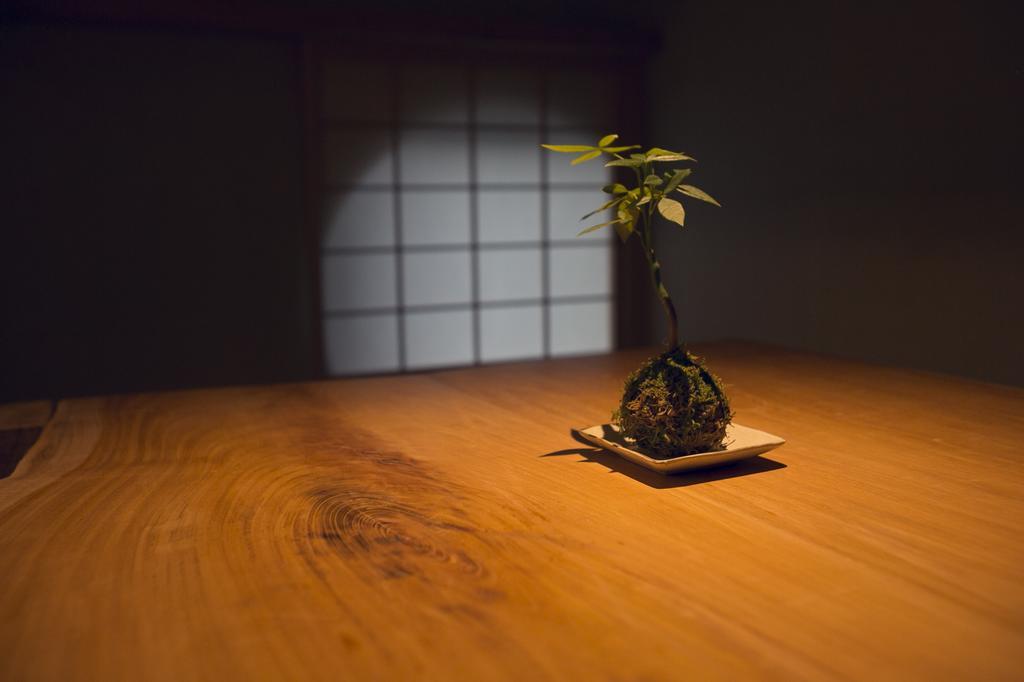 Ryokan Mokuzin 하쿠바 외부 사진